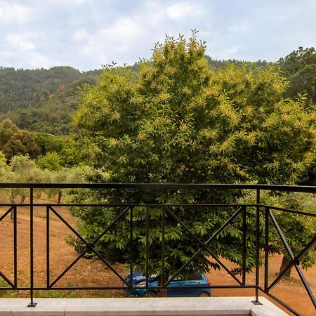 Evergreen Thassos Skala Potamia (Thasos) Exterior foto