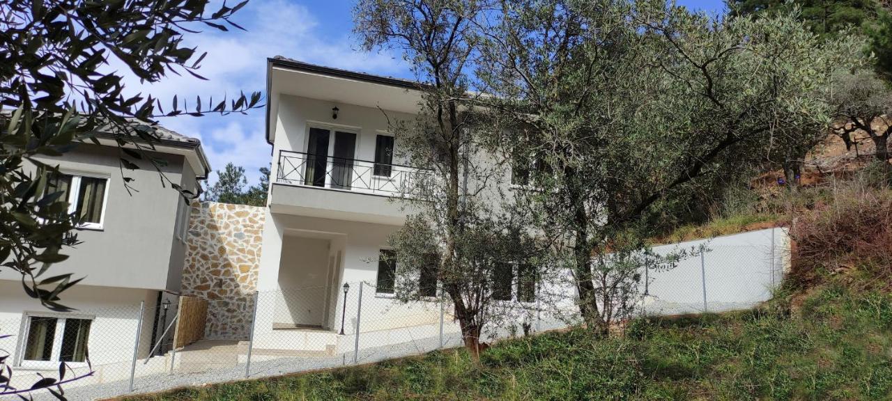 Evergreen Thassos Skala Potamia (Thasos) Exterior foto
