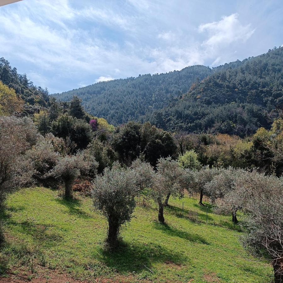 Evergreen Thassos Skala Potamia (Thasos) Exterior foto