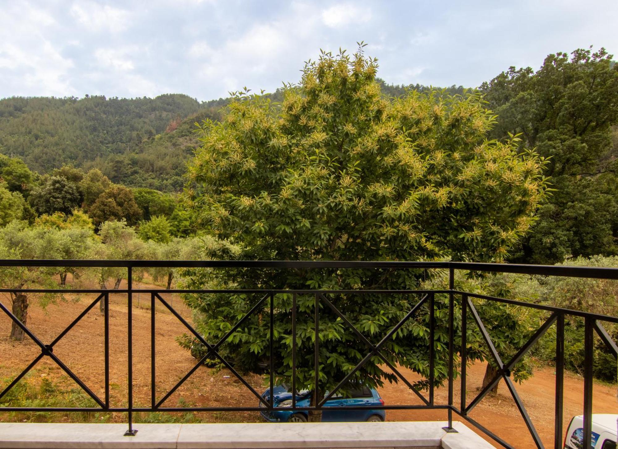 Evergreen Thassos Skala Potamia (Thasos) Exterior foto